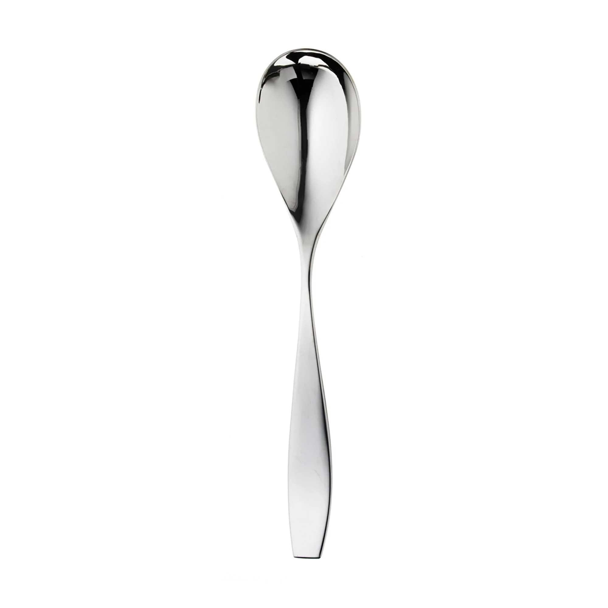 Vista Bright Serving Spoon
